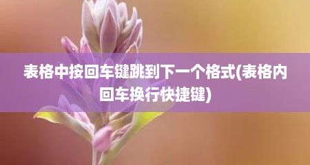 表格中按回车键跳到下一个格式(表格内回车换行快捷键)