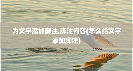 为文字添加脚注,脚注内容(怎么给文字添加脚注)