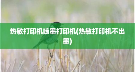 热敏打印机喷墨打印机(热敏打印机不出墨)
