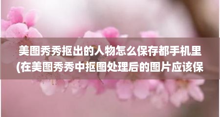 美图秀秀抠出的人物怎么保存都手机里(在美图秀秀中抠图处理后的图片应该保存为什么格式)