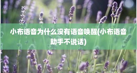 小布语音为什么没有语音唤醒(小布语音助手不说话)