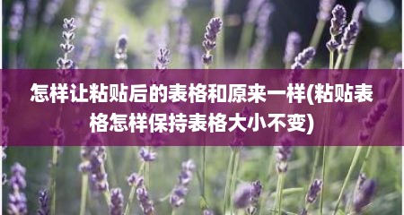 怎样让粘贴后的表格和原来一样(粘贴表格怎样保持表格大小不变)