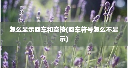 怎么显示回车和空格(回车符号怎么不显示)