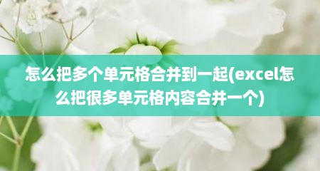 怎么把多个单元格合并到一起(excel怎么把很多单元格内容合并一个)