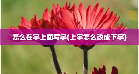 怎么在字上面写字(上字怎么改成下字)