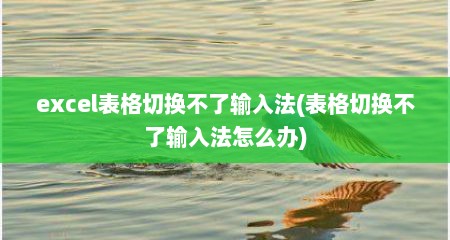excel表格切换不了输入法(表格切换不了输入法怎么办)
