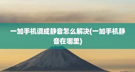一加手机调成静音怎么解决(一加手机静音在哪里)
