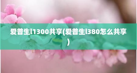 爱普生l1300共享(爱普生l380怎么共享)
