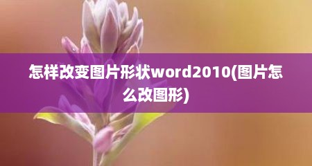 怎样改变图片形状word2010(图片怎么改图形)
