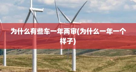 为什么有些车一年两审(为什么一年一个样子)
