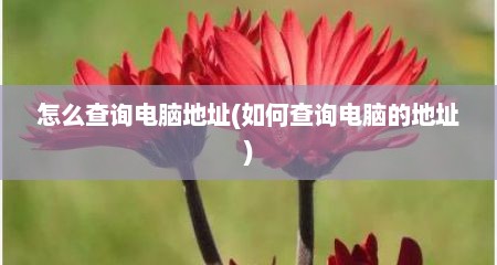 怎么查询电脑地址(如何查询电脑的地址)