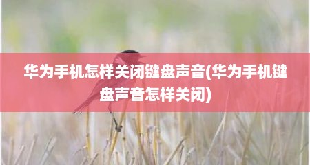 华为手机怎样关闭键盘声音(华为手机键盘声音怎样关闭)
