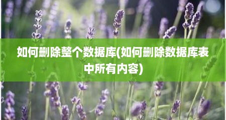 如何删除整个数据库(如何删除数据库表中所有内容)