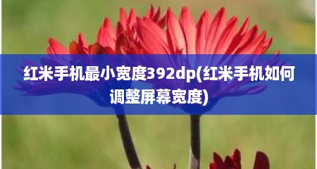 红米手机最小宽度392dp(红米手机如何调整屏幕宽度)