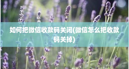 如何把微信收款码关闭(微信怎么把收款码关掉)