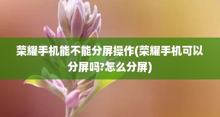 荣耀手机能不能分屏操作(荣耀手机可以分屏吗?怎么分屏)