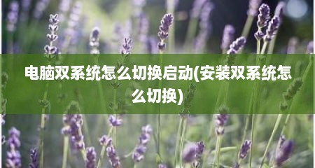 电脑双系统怎么切换启动(安装双系统怎么切换)