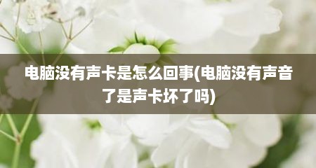电脑没有声卡是怎么回事(电脑没有声音了是声卡坏了吗)