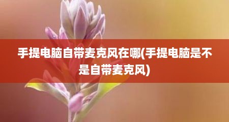 手提电脑自带麦克风在哪(手提电脑是不是自带麦克风)