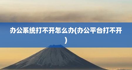 办公系统打不开怎么办(办公平台打不开)