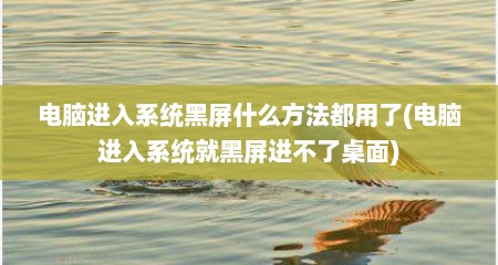 电脑进入系统黑屏什么方法都用了(电脑进入系统就黑屏进不了桌面)