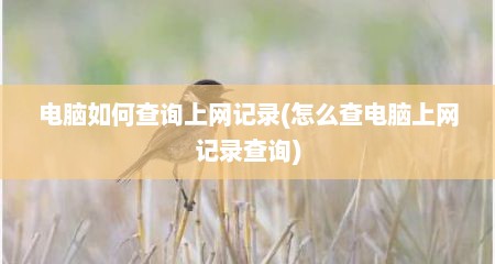 电脑如何查询上网记录(怎么查电脑上网记录查询)