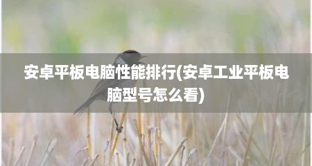 安卓平板电脑性能排行(安卓工业平板电脑型号怎么看)