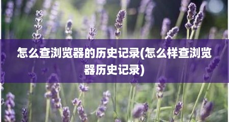 怎么查浏览器的历史记录(怎么样查浏览器历史记录)