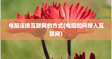 电脑连接互联网的方式(电脑如何接入互联网)