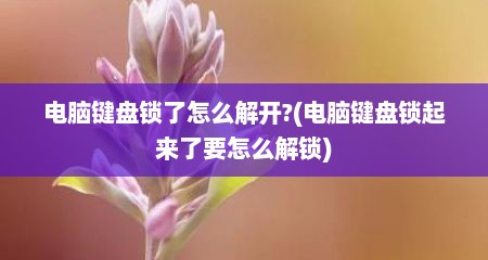 电脑键盘锁了怎么解开?(电脑键盘锁起来了要怎么解锁)