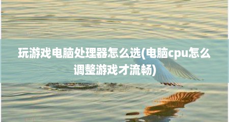 玩游戏电脑处理器怎么选(电脑cpu怎么调整游戏才流畅)