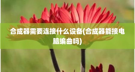 合成器需要连接什么设备(合成器能接电脑编曲吗)