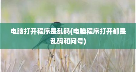 电脑打开程序是乱码(电脑程序打开都是乱码和问号)
