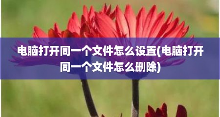 电脑打开同一个文件怎么设置(电脑打开同一个文件怎么删除)