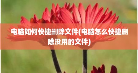 电脑如何快捷删除文件(电脑怎么快捷删除没用的文件)