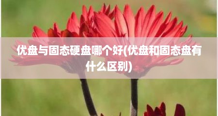 优盘与固态硬盘哪个好(优盘和固态盘有什么区别)