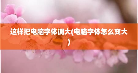 这样把电脑字体调大(电脑字体怎么变大)