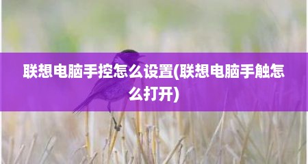 联想电脑手控怎么设置(联想电脑手触怎么打开)