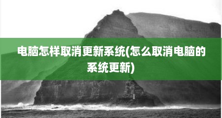 电脑怎样取消更新系统(怎么取消电脑的系统更新)