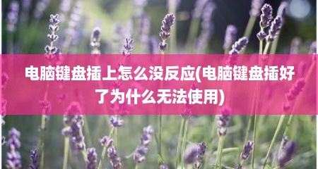 电脑键盘插上怎么没反应(电脑键盘插好了为什么无法使用)