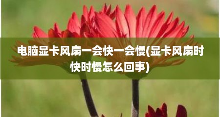 电脑显卡风扇一会快一会慢(显卡风扇时快时慢怎么回事)