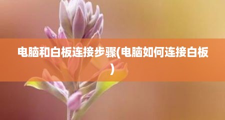 电脑和白板连接步骤(电脑如何连接白板)