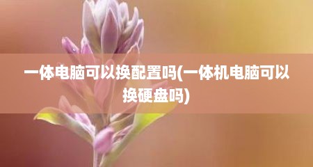一体电脑可以换配置吗(一体机电脑可以换硬盘吗)