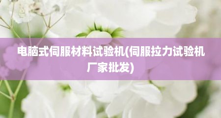 电脑式伺服材料试验机(伺服拉力试验机厂家批发)