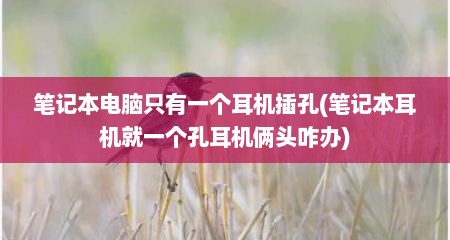 笔记本电脑只有一个耳机插孔(笔记本耳机就一个孔耳机俩头咋办)