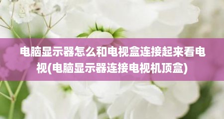 电脑显示器怎么和电视盒连接起来看电视(电脑显示器连接电视机顶盒)