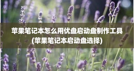 苹果笔记本怎么用优盘启动盘制作工具(苹果笔记本启动盘选择)