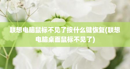 联想电脑鼠标不见了按什么键恢复(联想电脑桌面鼠标不见了)