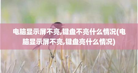 电脑显示屏不亮,键盘不亮什么情况(电脑显示屏不亮,键盘亮什么情况)