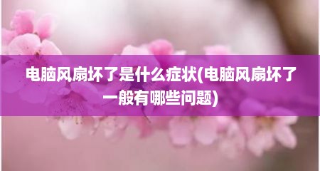 电脑风扇坏了是什么症状(电脑风扇坏了一般有哪些问题)